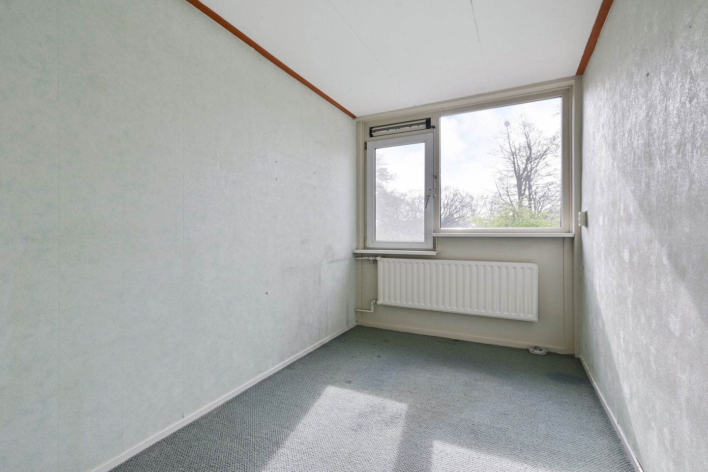 Foto 20 van Vlierpad 13