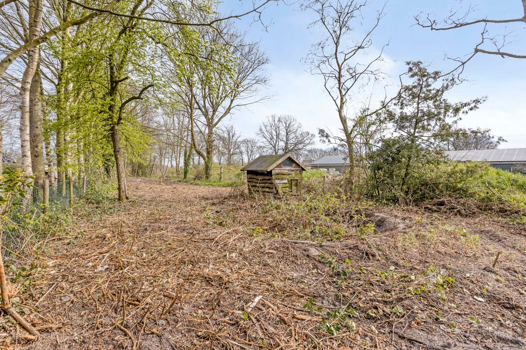 Photo 32 of Hermansstraat 12