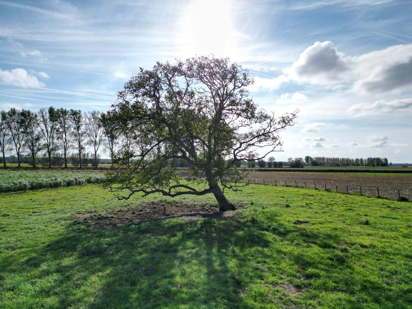 Foto 35 van Zandstraat 23