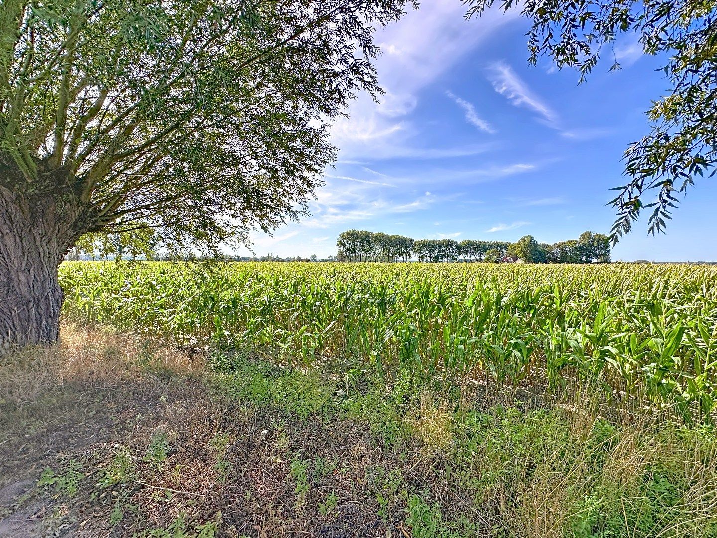 Foto 33 van Zandstraat 23