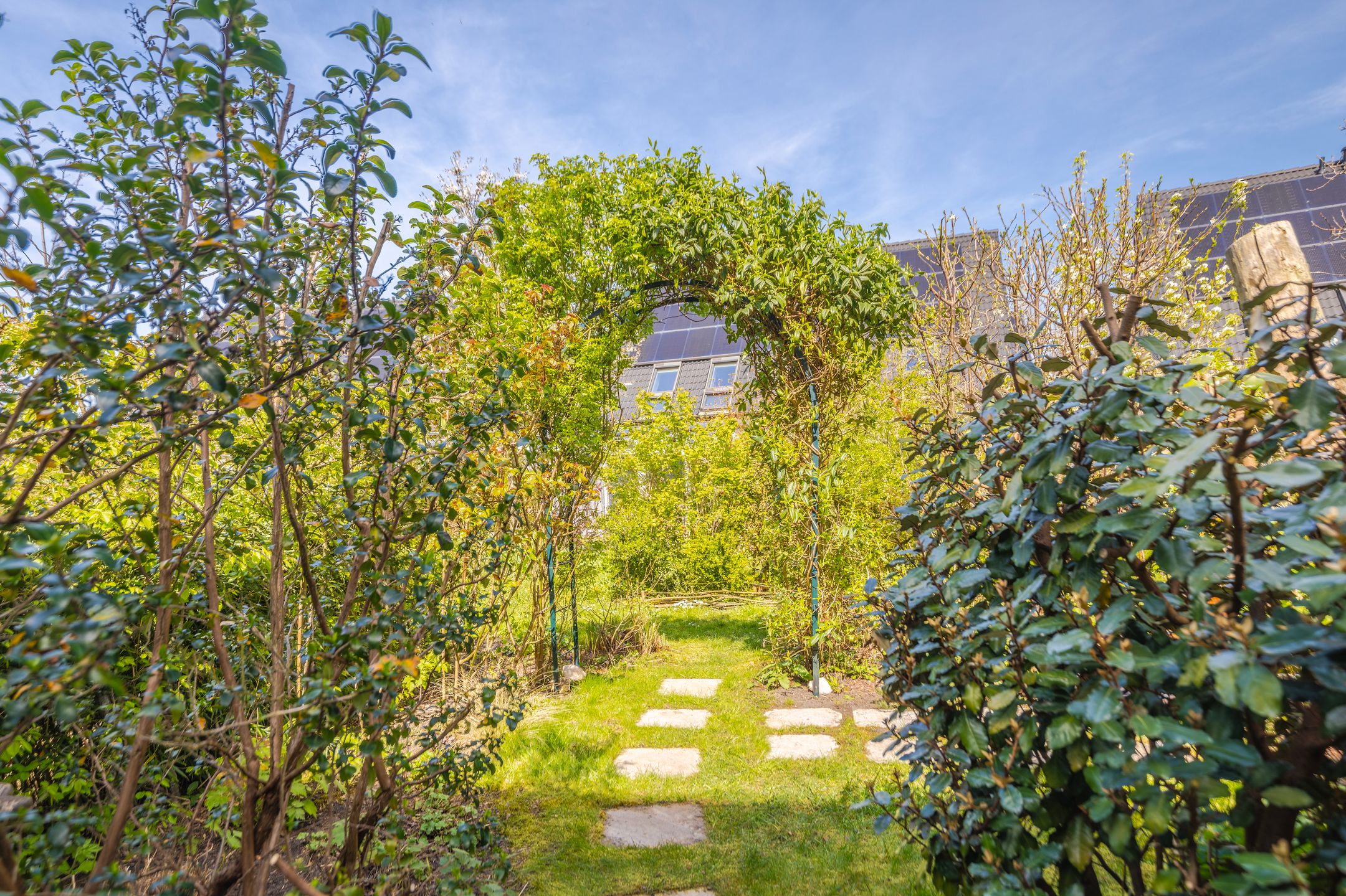 Foto 30 van Dijkkruin 7