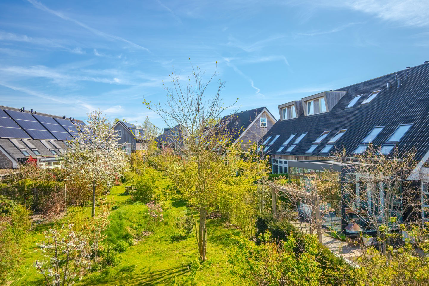 Foto 5 van Dijkkruin 7