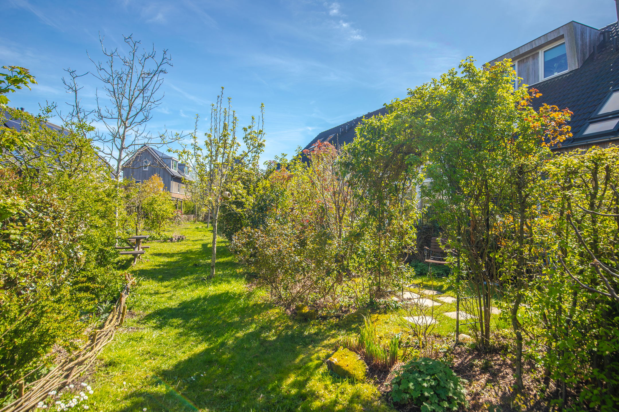 Foto 33 van Dijkkruin 7