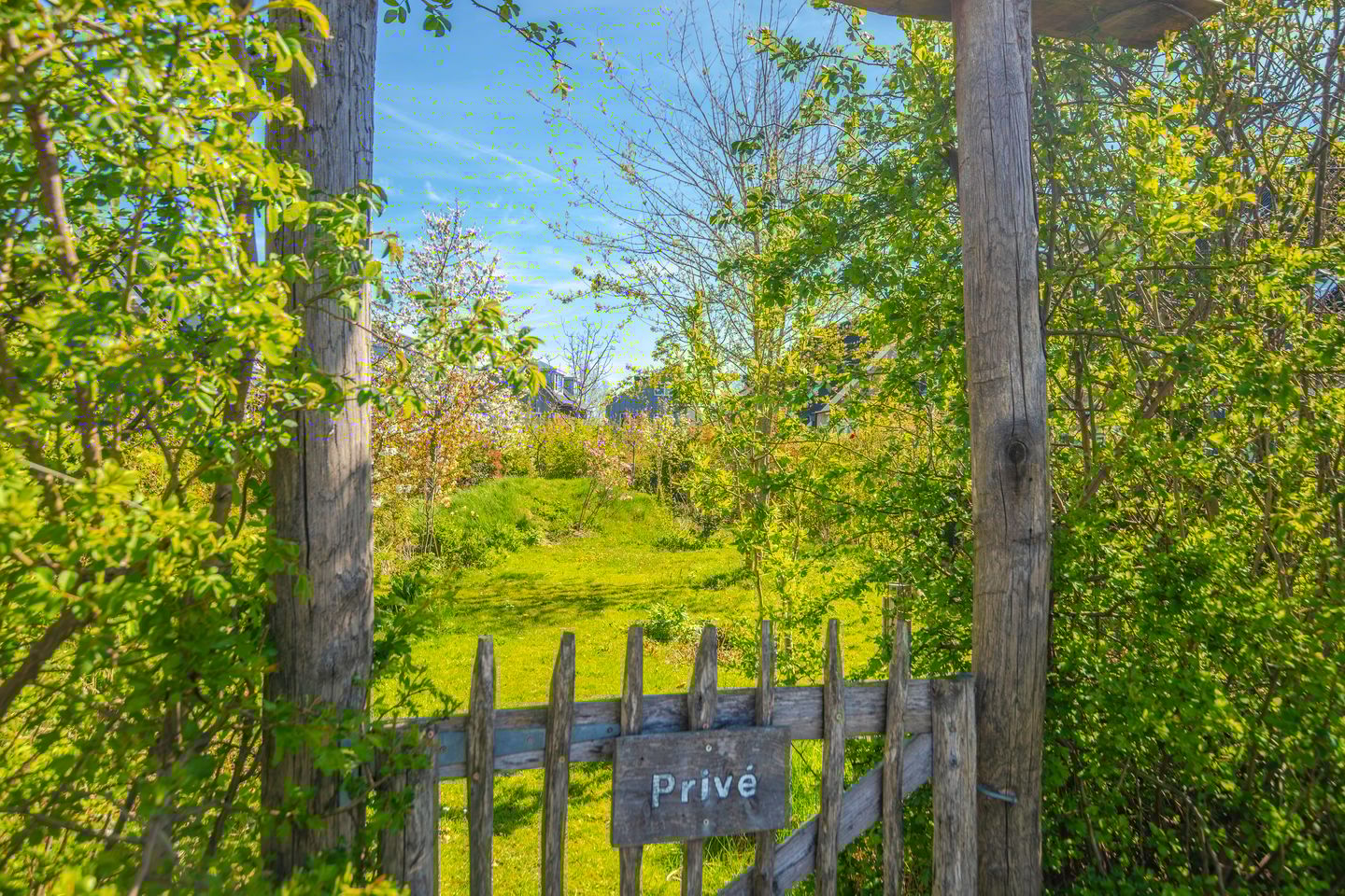 Foto 35 van Dijkkruin 7