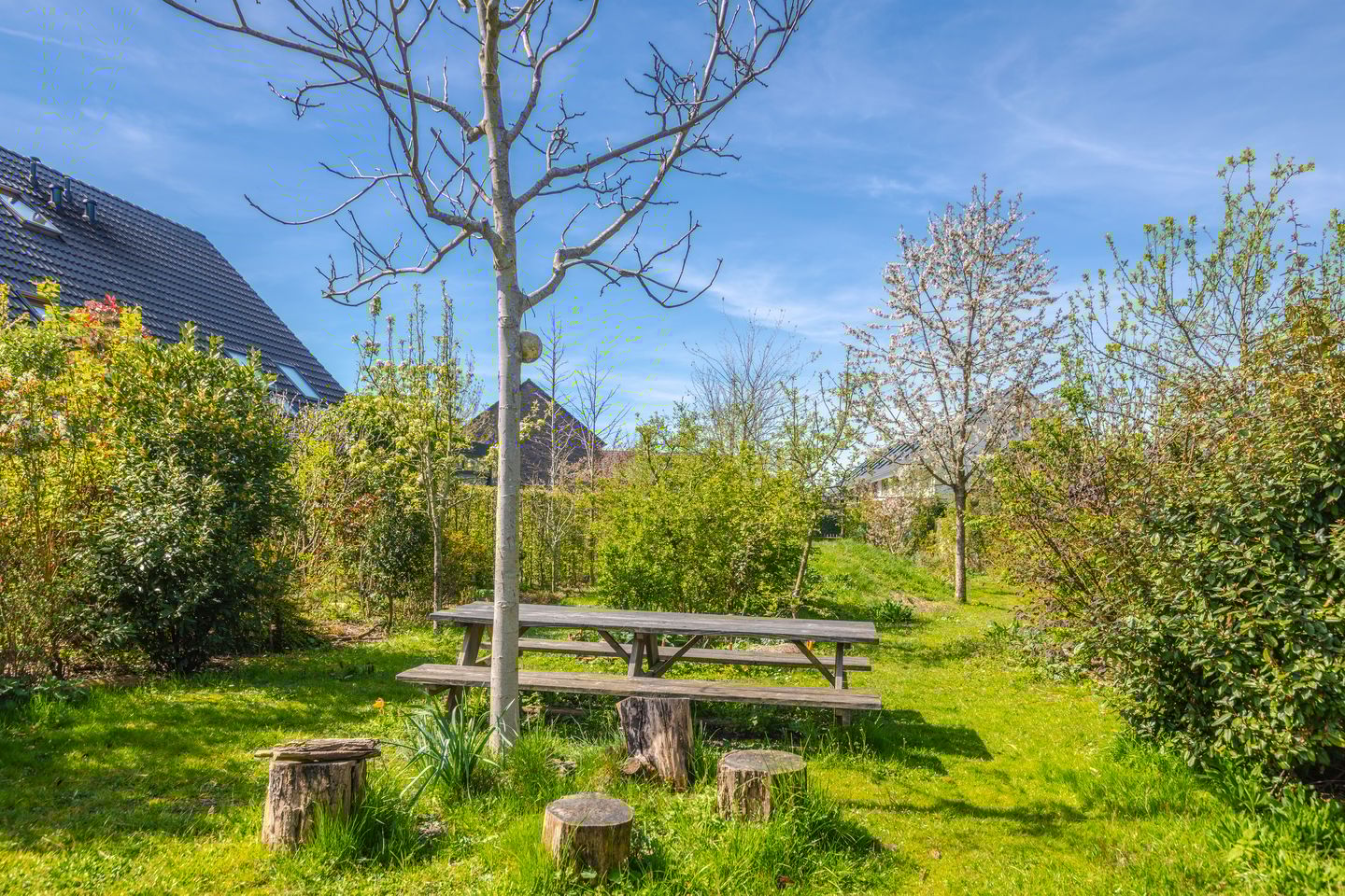 Foto 34 van Dijkkruin 7