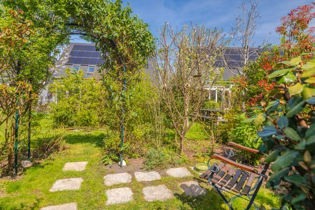 Foto 31 van Dijkkruin 7