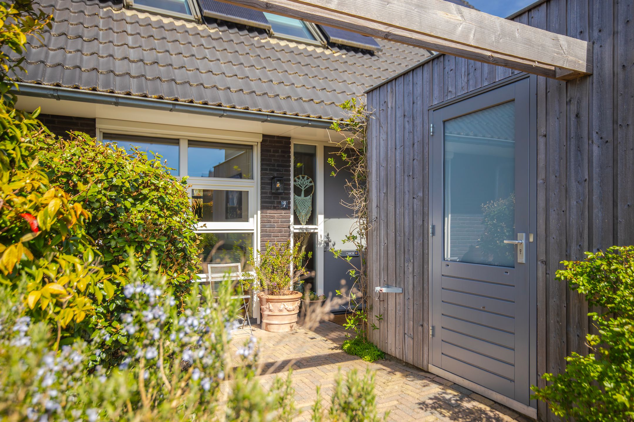 Foto 6 van Dijkkruin 7