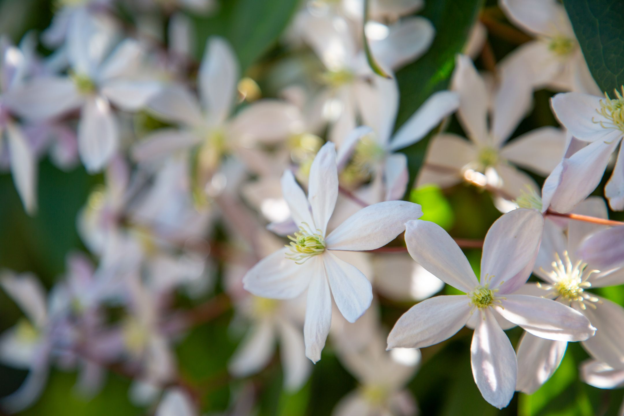 Foto 51 van Evert Heusinkveldstraat 1