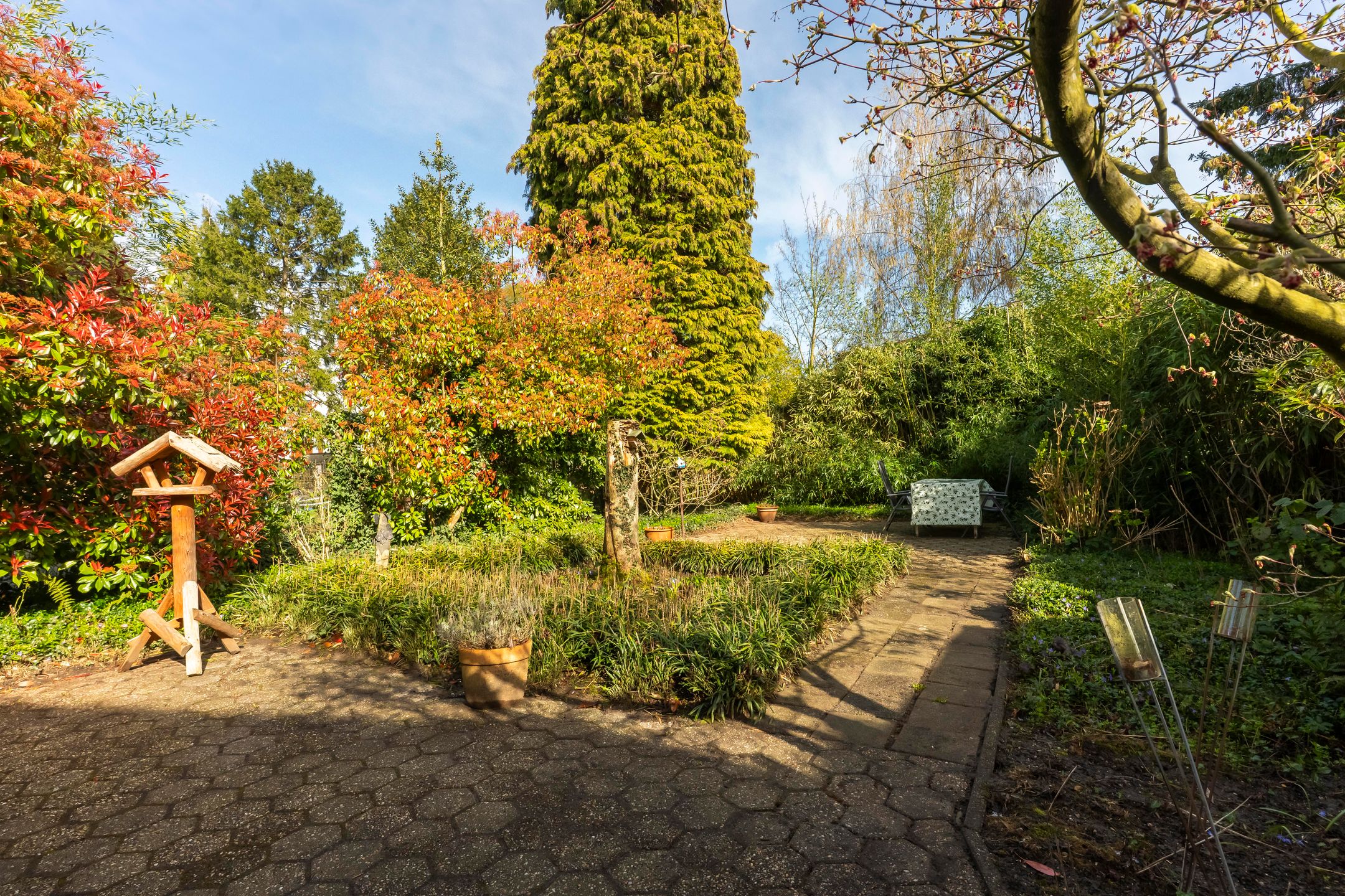 Foto 3 van Melchiorstraat 20