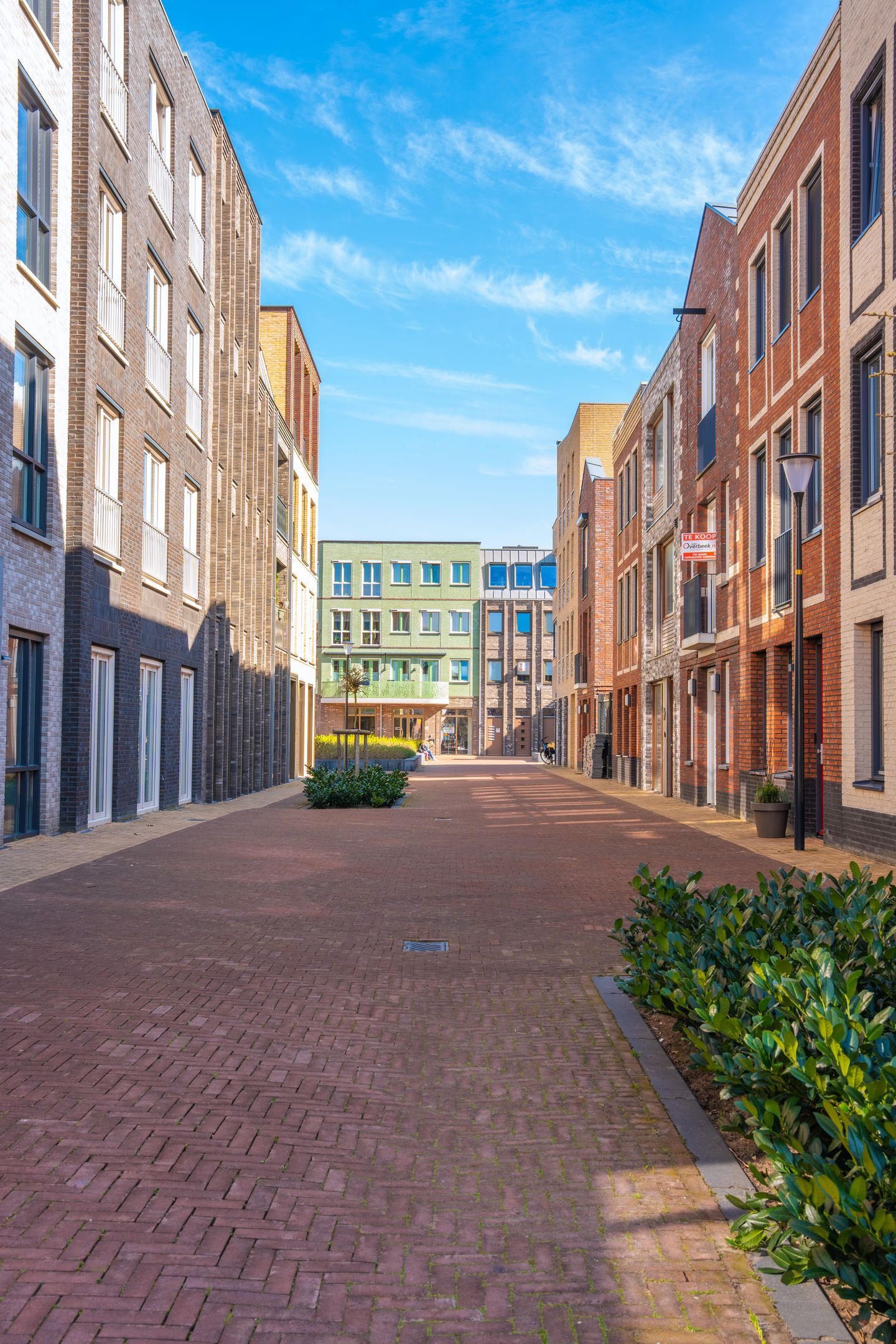 Foto 4 van Binnenbuurt 7