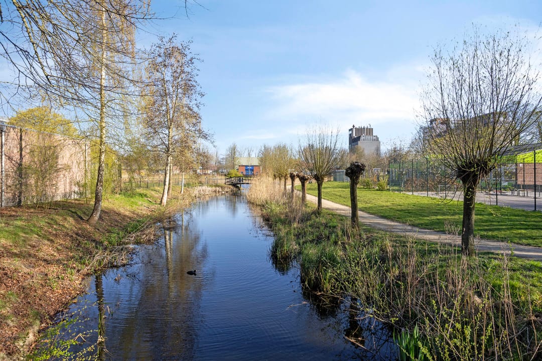 Foto 37 van Jacob van Ruysdaelstraat 5