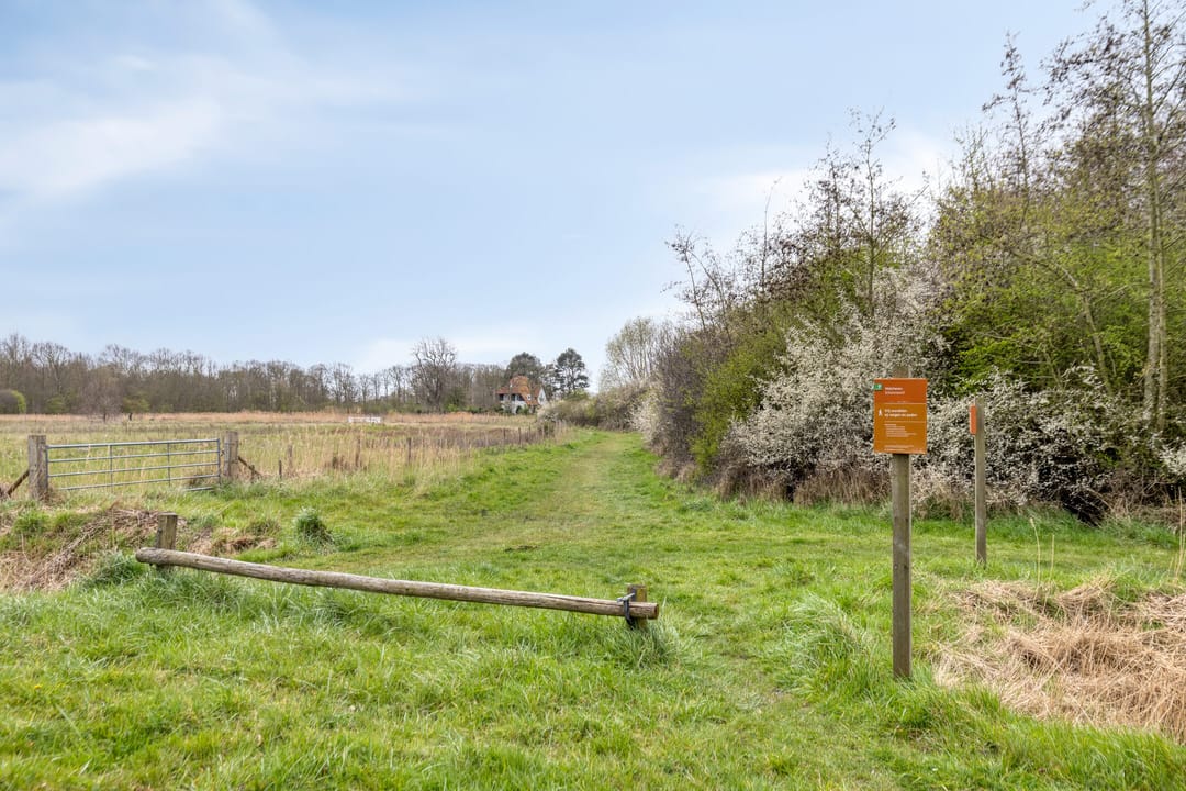 Foto 53 van Chrysantenlaan 6
