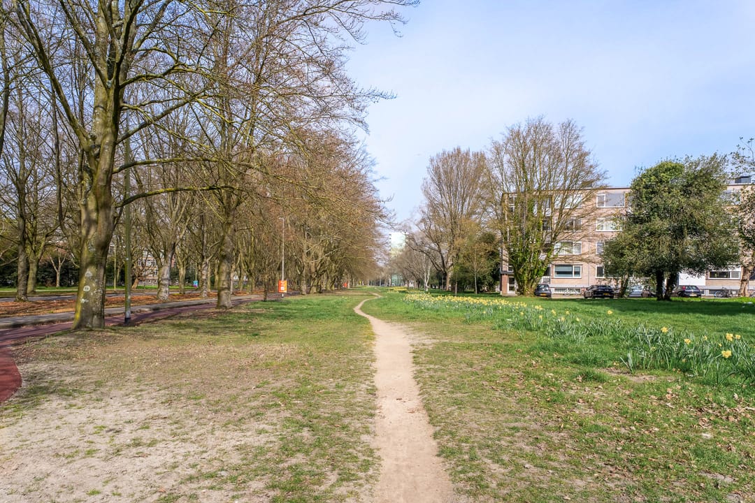 Foto 26 van Europalaan 613