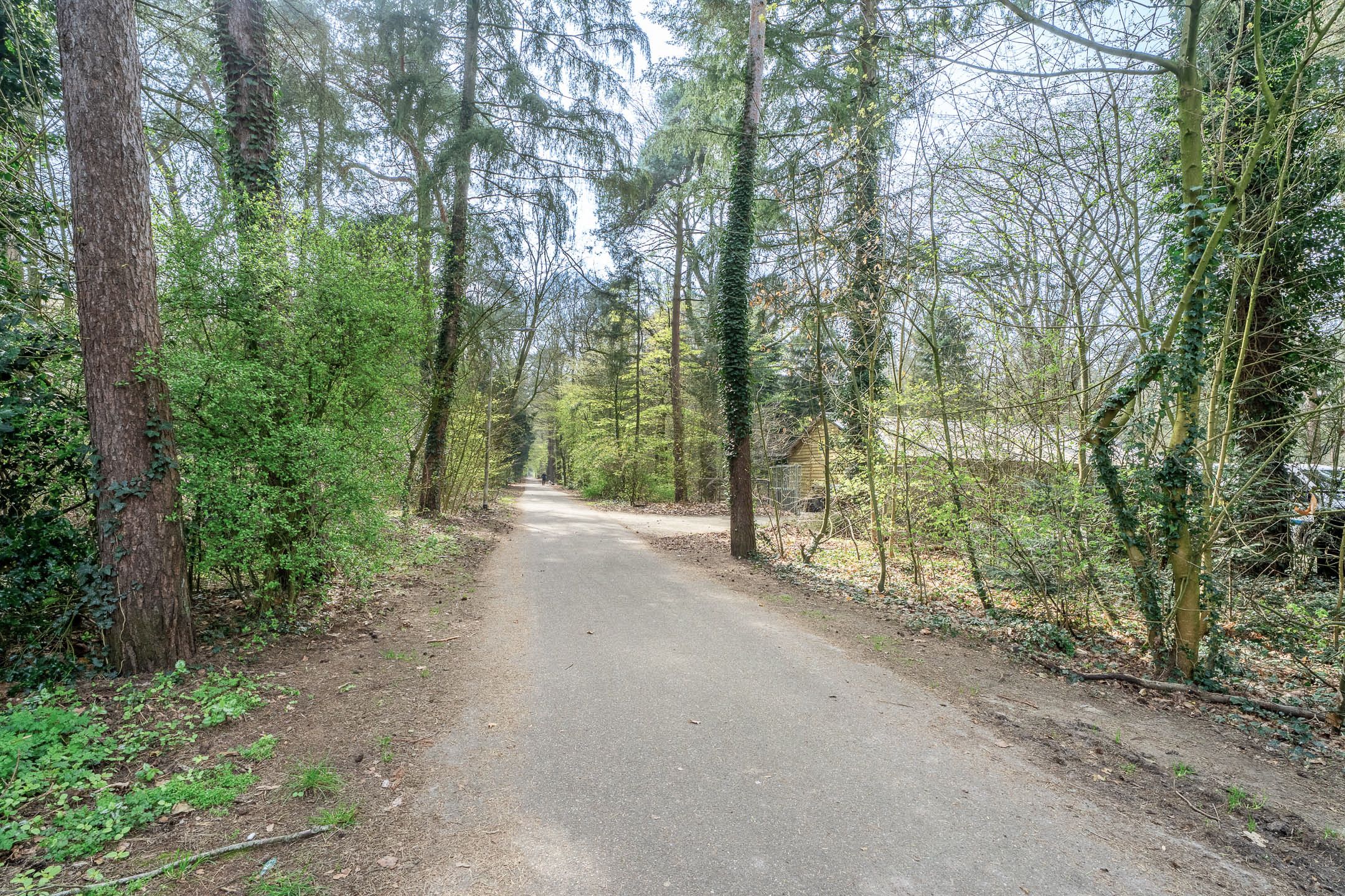 Foto 27 van Europalaan 613