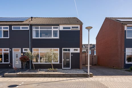 Zonnebloemstraat thumbnail