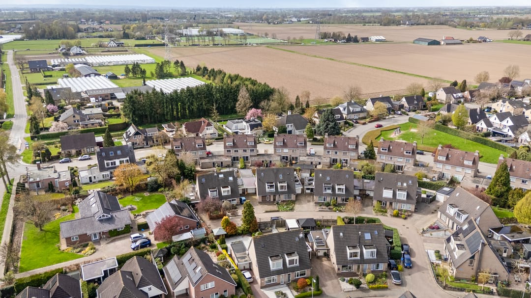 Photo 58 of Goudreinette 16