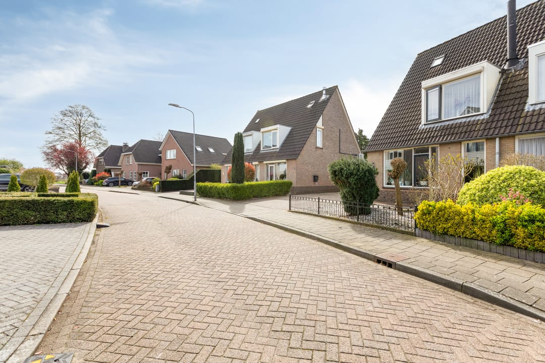 Photo 56 of Goudreinette 16