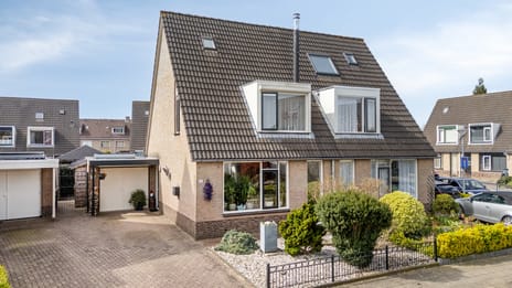 Goudreinette thumbnail