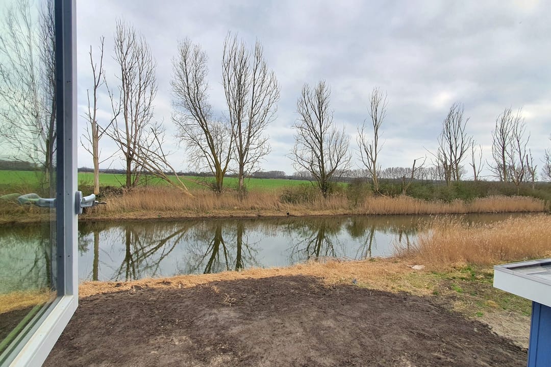 Photo 28 of Bosorchidee 25