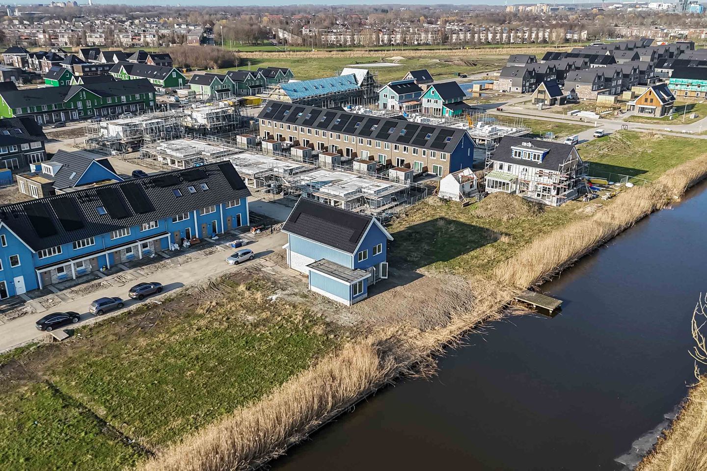 Photo 49 of Bosorchidee 25