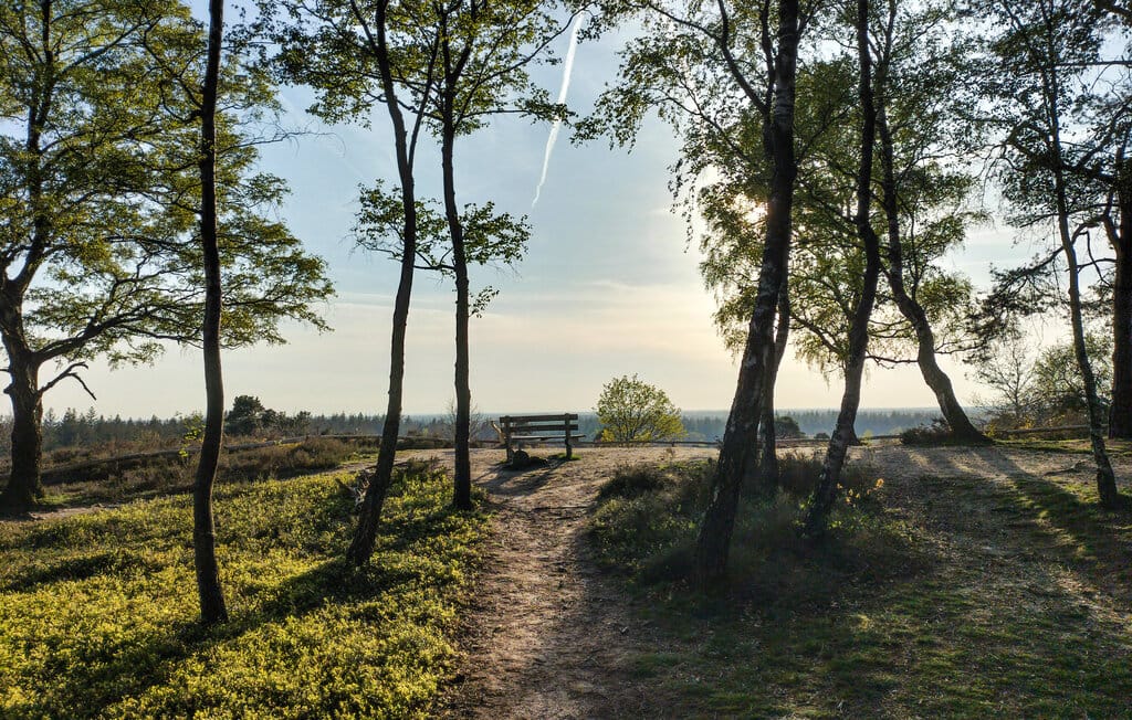 Photo 17 of Tunnelweg 4-A08