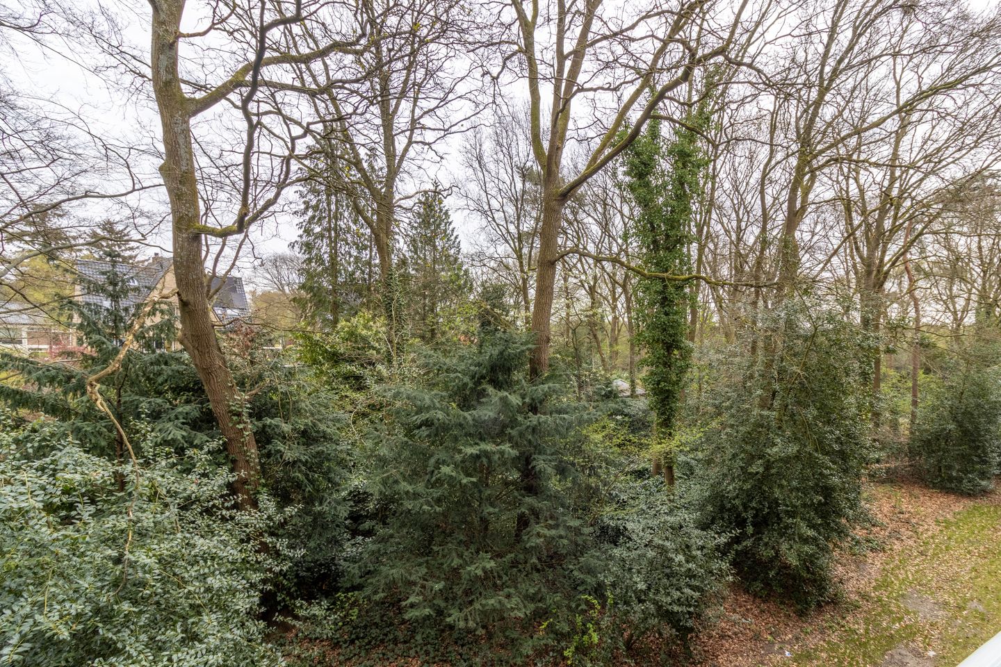 Foto 14 van Plesmanstraat 277