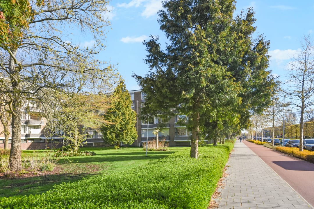 Foto 31 van van Leeuwenstraat 118