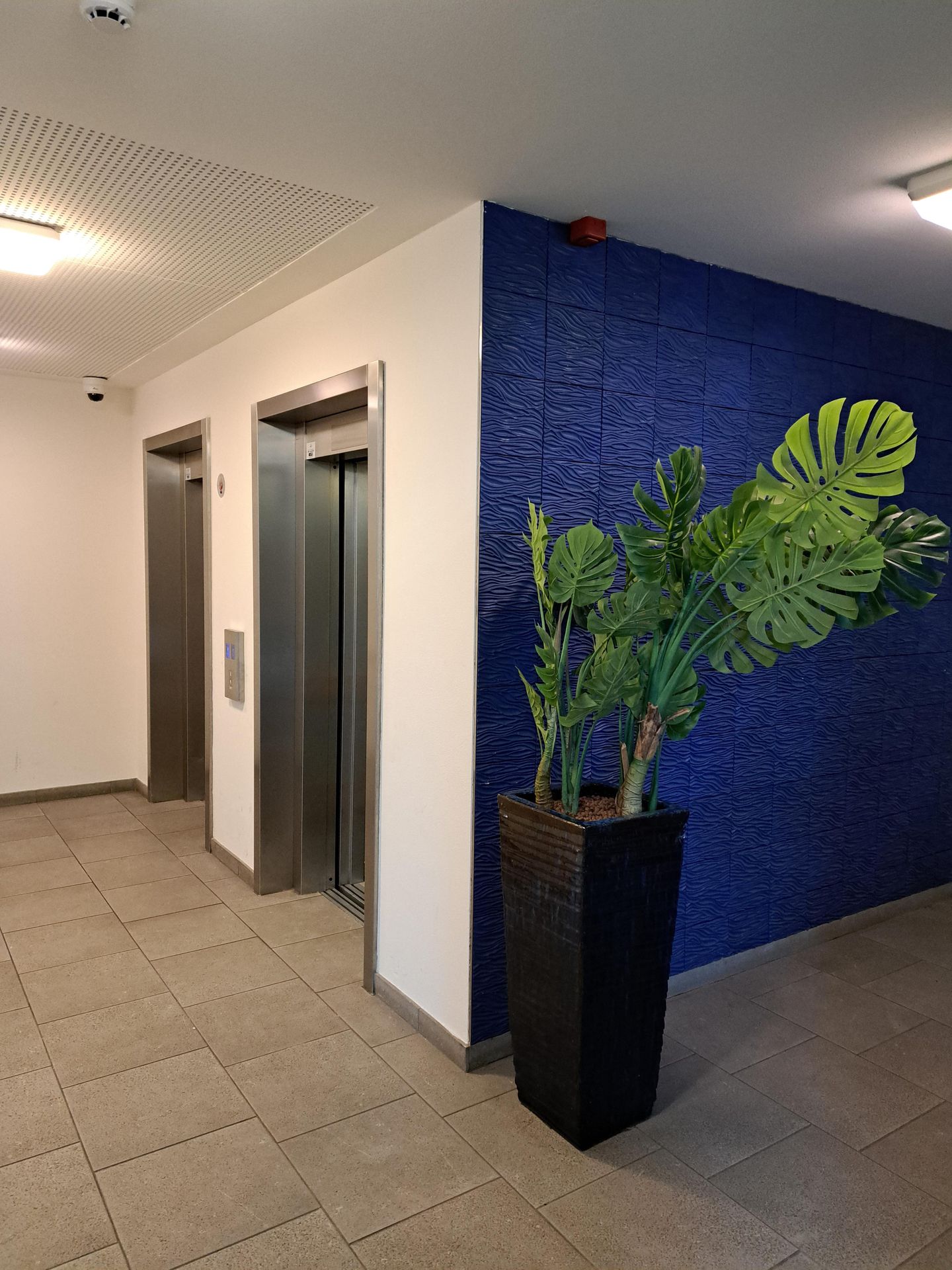 Foto 4 van Veembroederhof 14