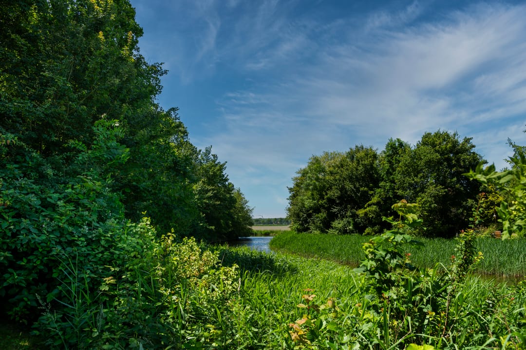 Photo 22 of Oostweg 2-0046