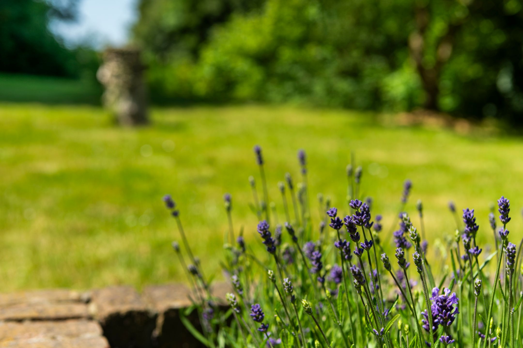 Photo 21 of Oostweg 2-0046