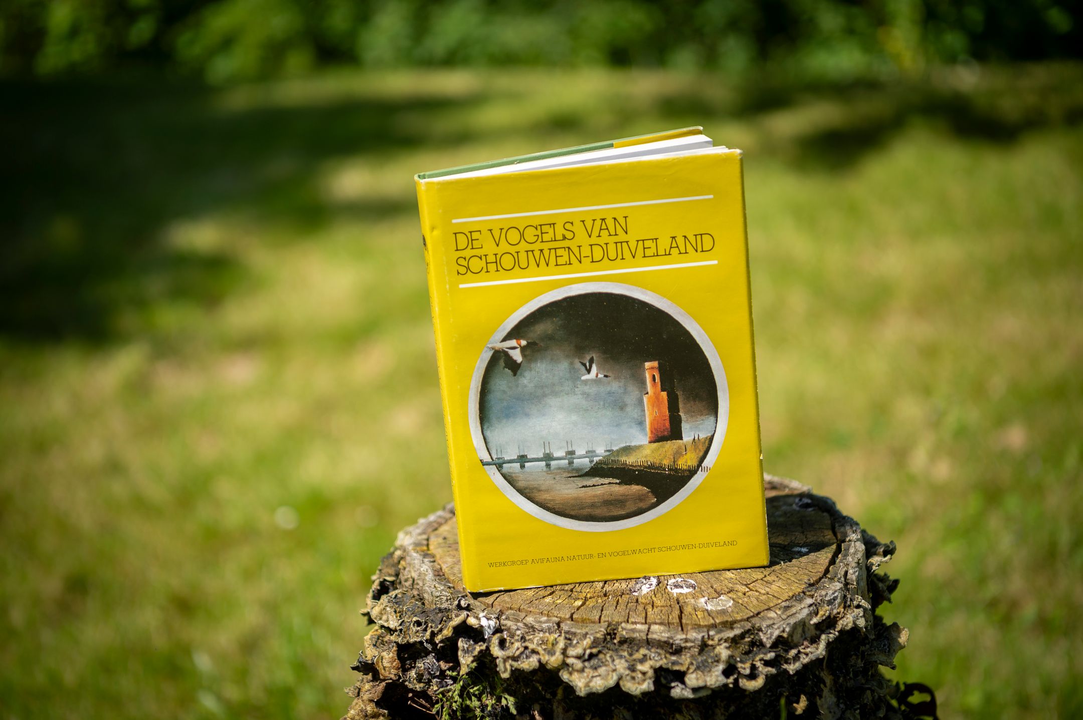 Photo 27 of Oostweg 2-0046