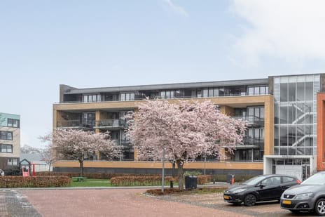 Capellestraat thumbnail