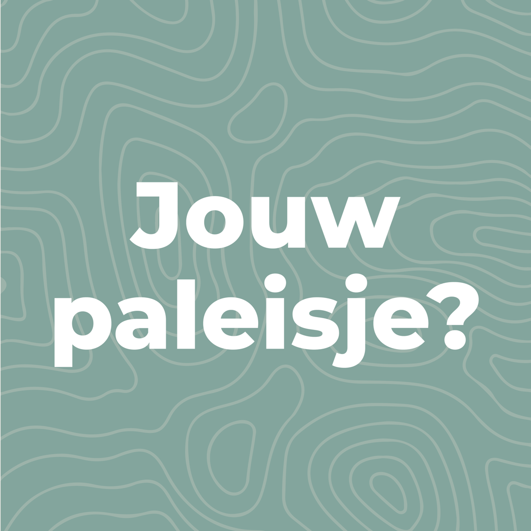 Photo 28 of Nassaustraat 5