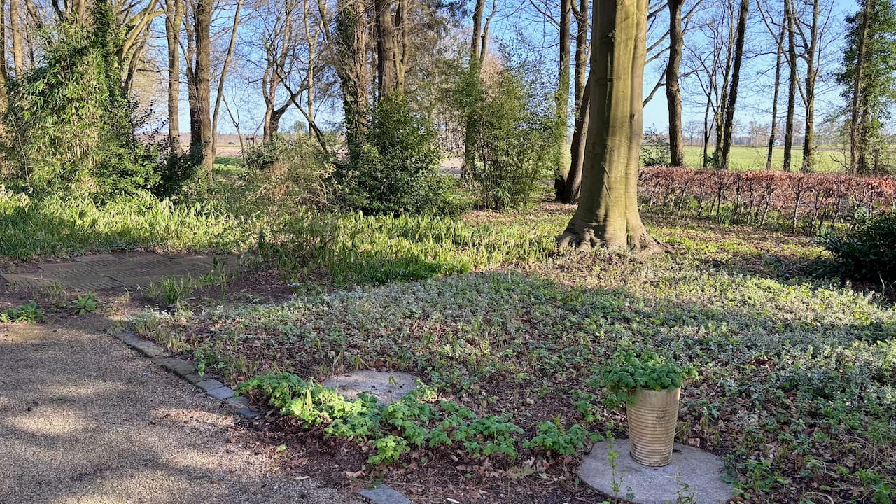 Foto 45 van Ruinerveldweg 7
