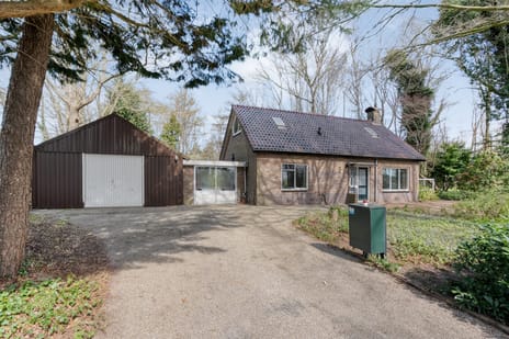 Ruinerveldweg thumbnail