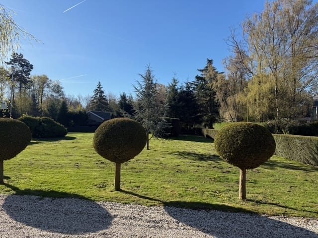 Foto 42 van Sint Jacobsweg 4-A