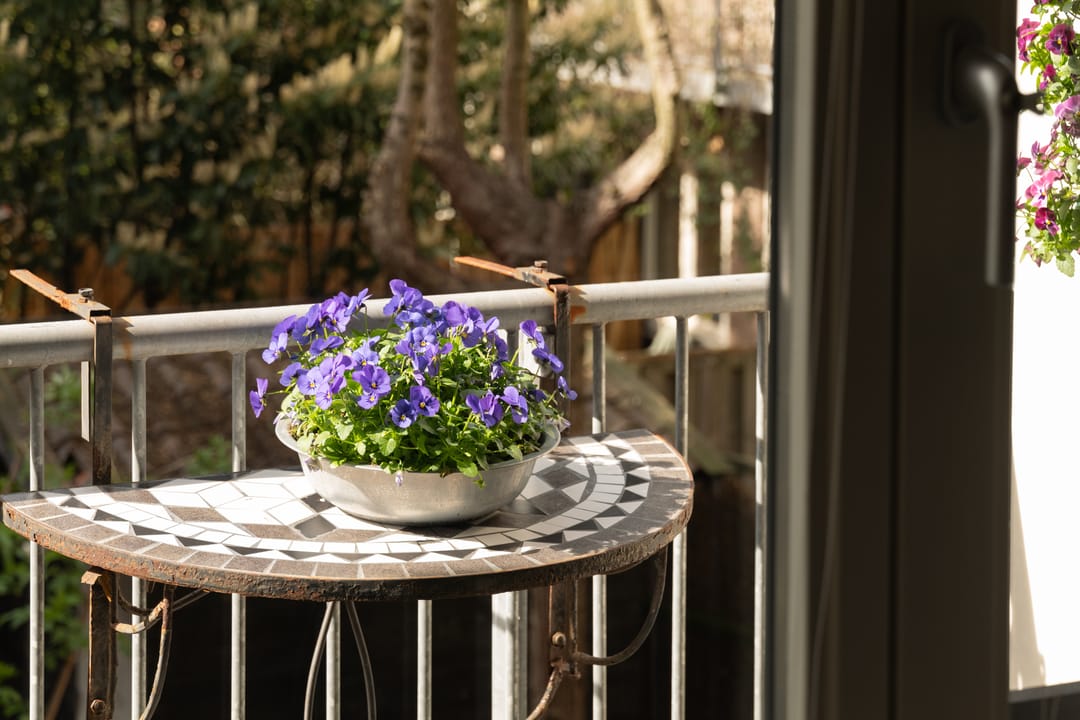 Foto 11 van Olympiaweg 72-1