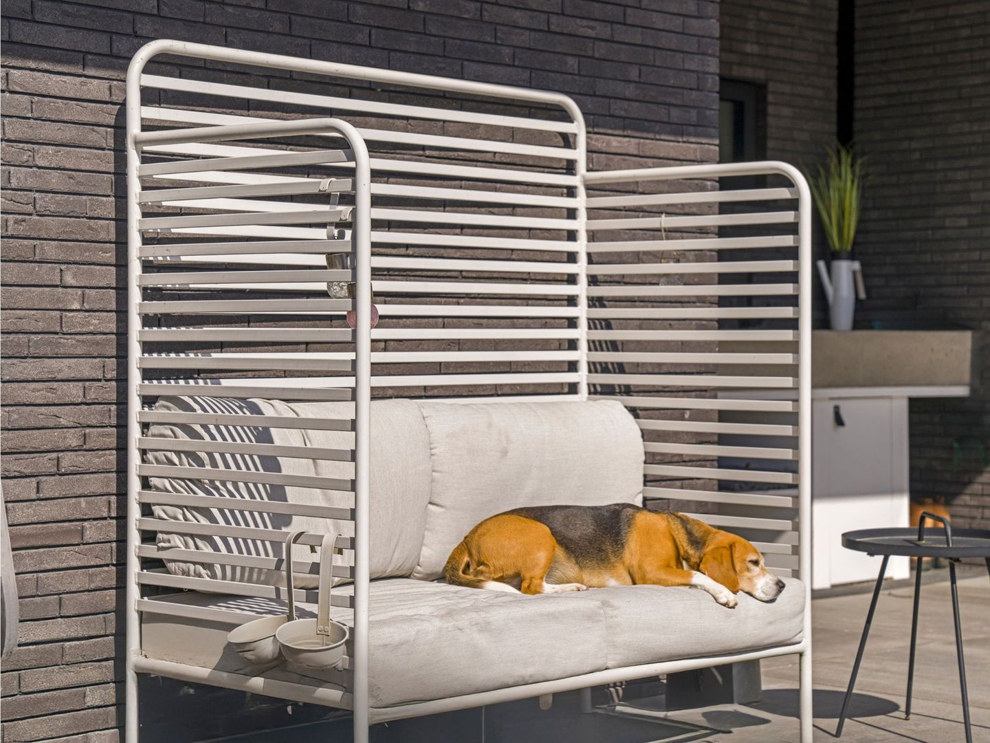 Foto 40 van Waterlelie 18