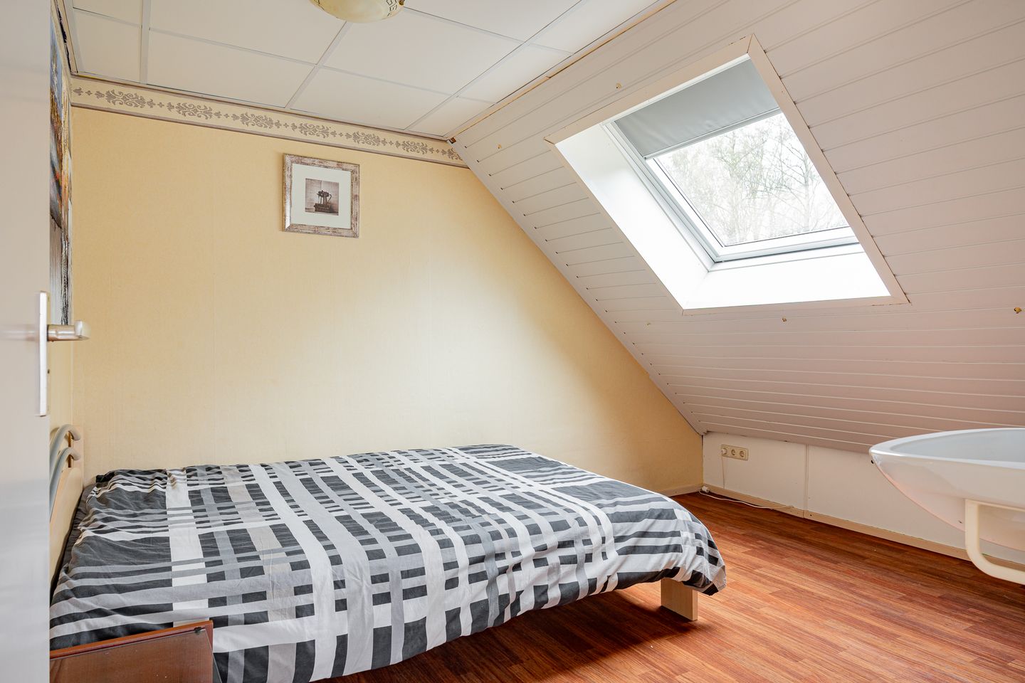 Photo 44 of Dopheide 20