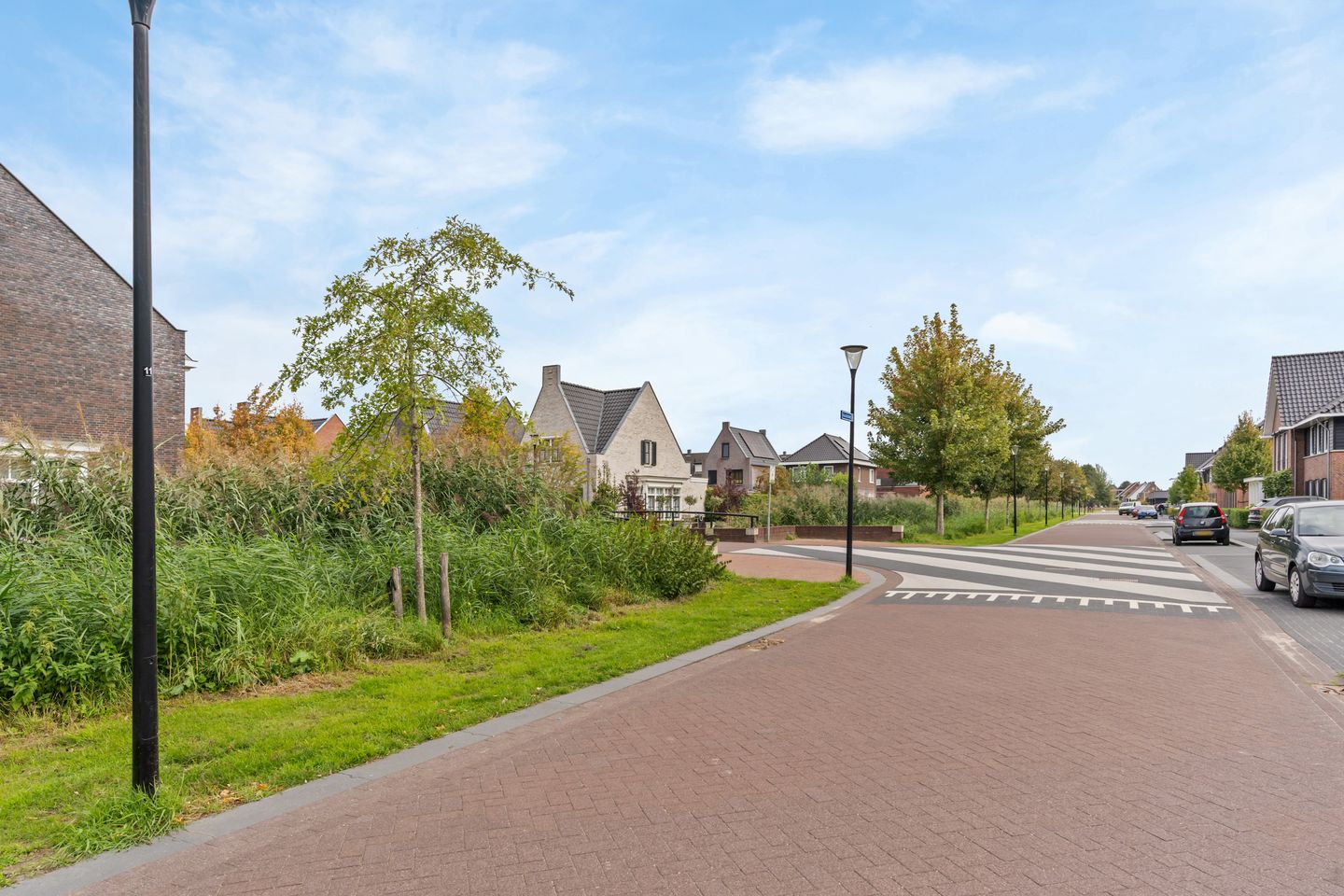 Foto 34 van Goudreinet 46