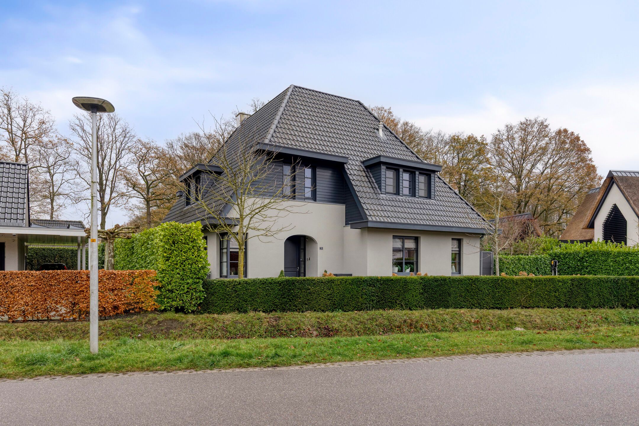 Foto 45 van Vlierbes 20