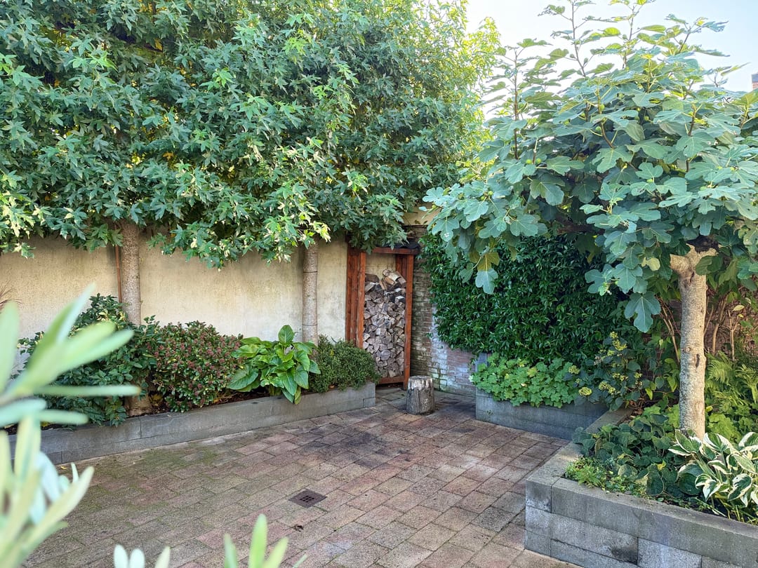 Charming semi-detached home with modern amenities in Haarlem — 32