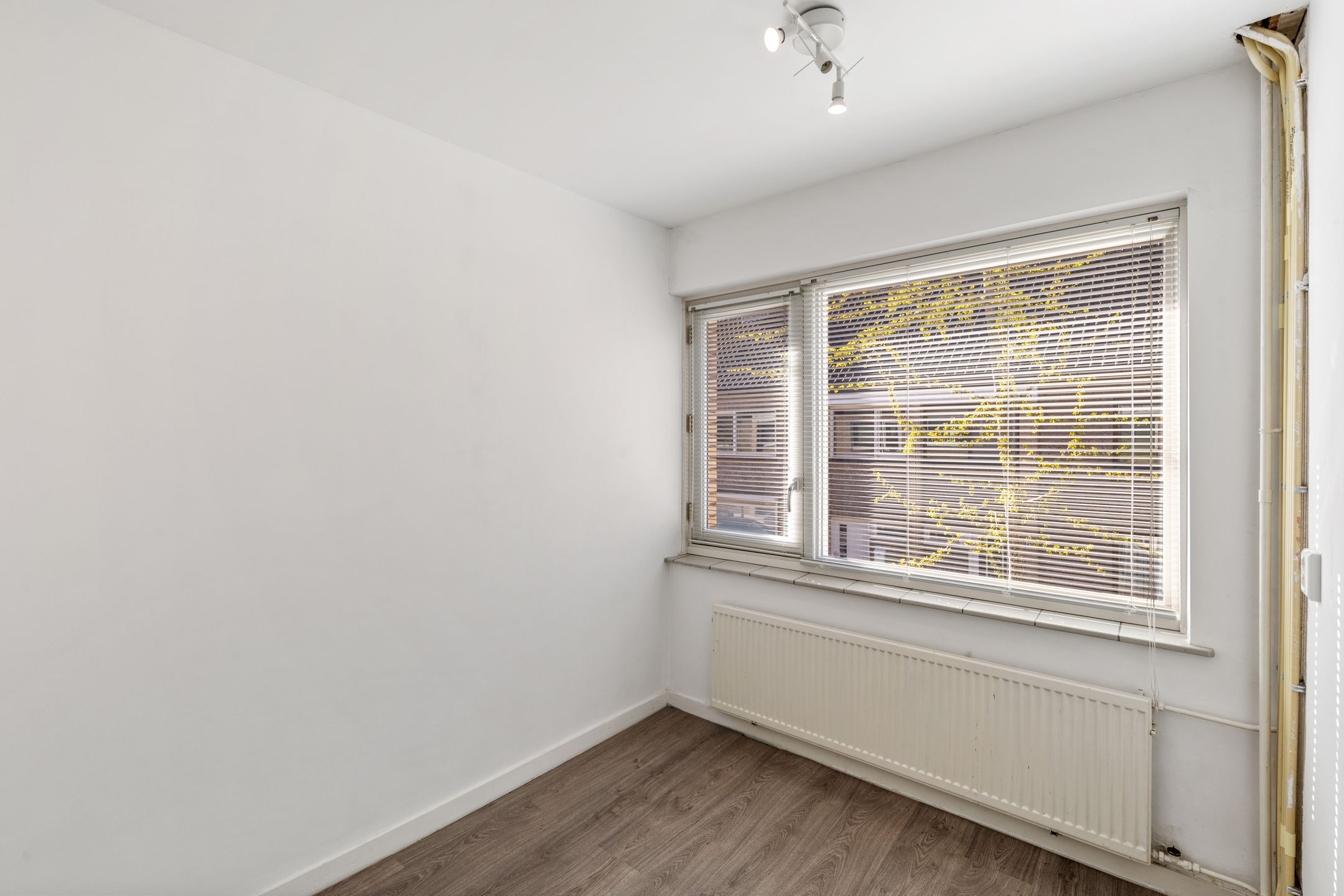 Photo 27 of Torenstraat 54