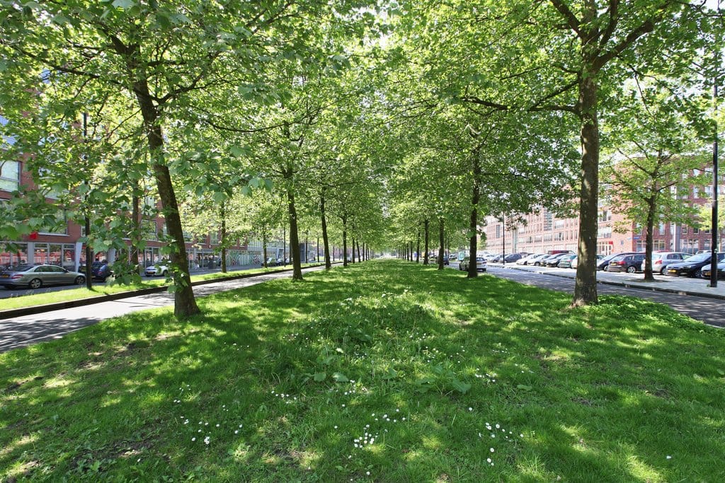 Foto 28 van Bijlmerdreef 1215