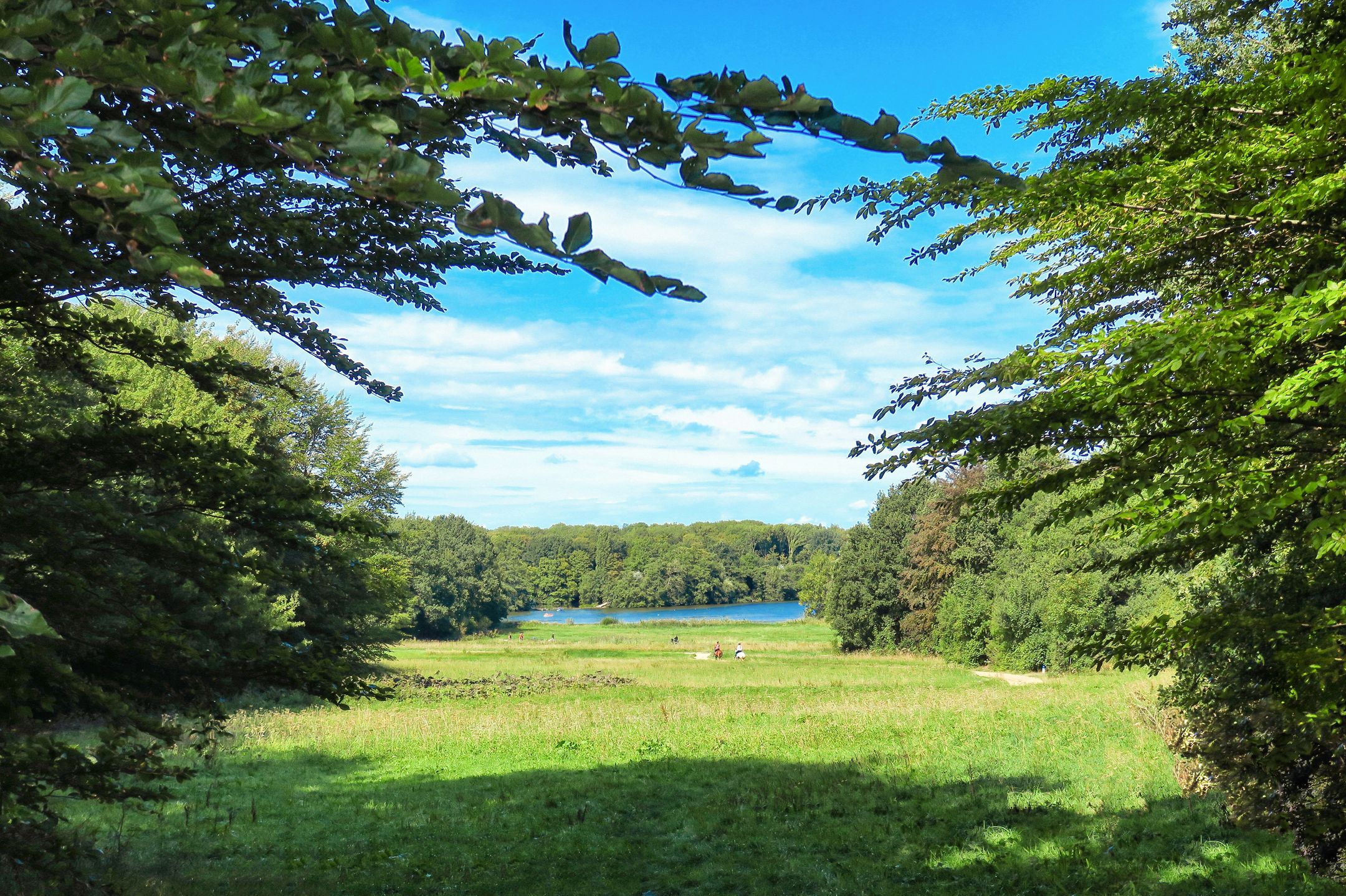 Foto 57 van Rembrandtweg 176