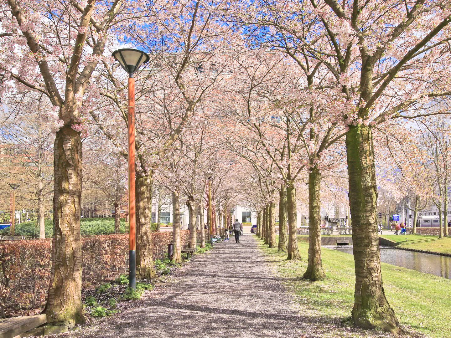 Foto 55 van Rembrandtweg 176