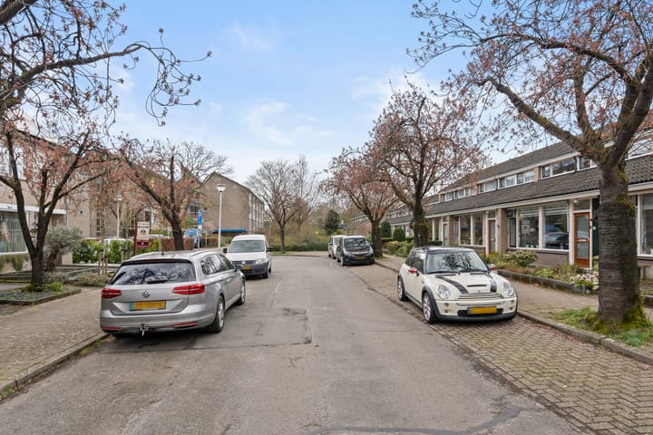 Foto 4 van Hof van Sint Pieter 61