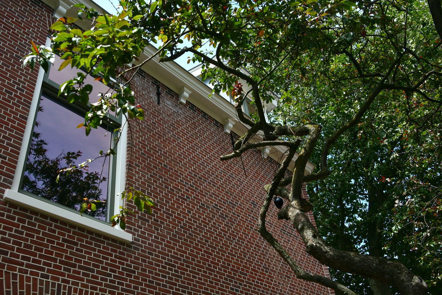 Foto 19 van Brandewijnsgracht 2-B