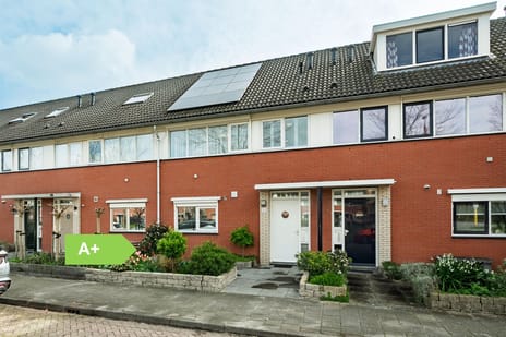 Jan van Scorelhage thumbnail