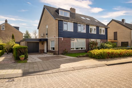 Hasselaarlaan thumbnail